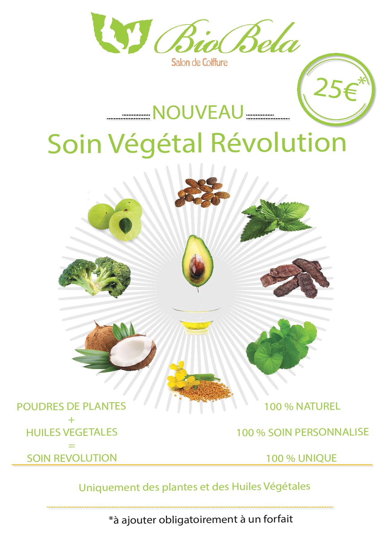 Affiche A4 soin vegetal-page-001